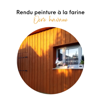 KIT PEINTURE À LA FARINE OCRE HAVANE (POUR 15 M²)