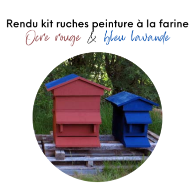 KIT PEINTURE RUCHES ROUGE et BLEU (POUR 7 M²)