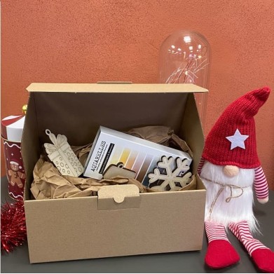 KIT PEINTURE AQUARELLE SUR BOIS - NOËL MAGIQUE