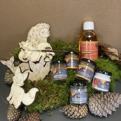 oil painting  kit on wood - forest animals